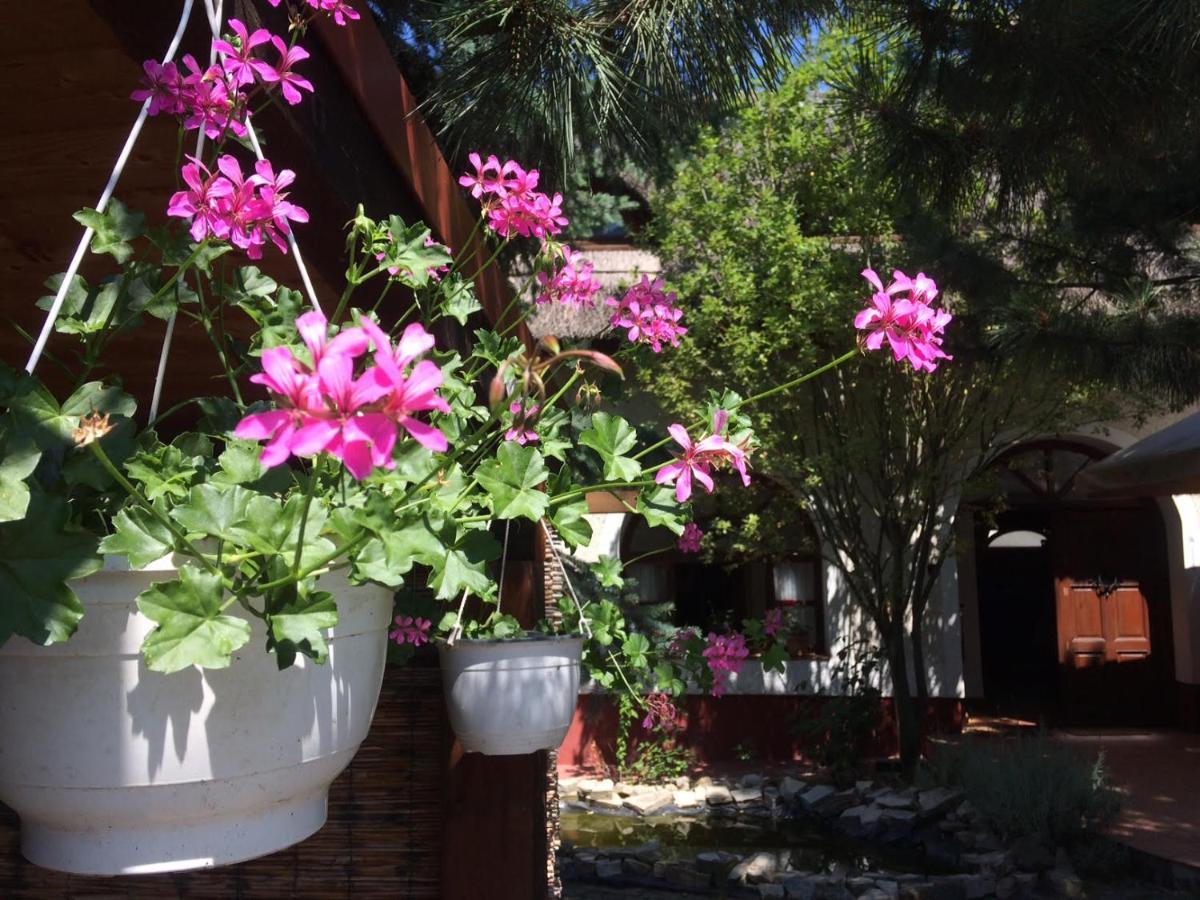 Oereghaz 1839 Hotel Чопак Екстериор снимка